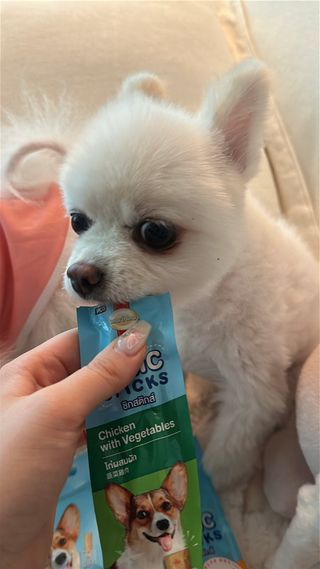 Hyo님이 올린 리뷰 사진 2