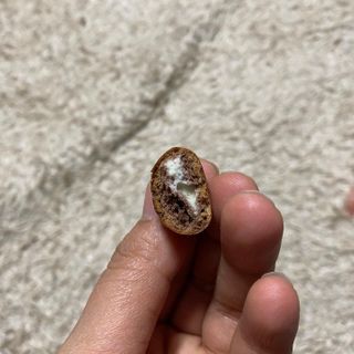 쏘야님이 올린 리뷰 사진 4