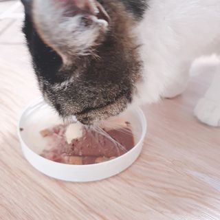 초동이님이 올린 리뷰 사진 2