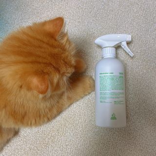 [푸푸몬스터] 비건 펫 데오 스프레이(탈취제) 500ml (유향/무향 택 1) — 5점을 준 리뷰어가 2022년 6월 올린 사용 사진