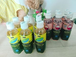 더그레잇티 콤부차 [매일유업] 더그레잇티 44kcal 콤부차 300ml *12개입 (오리지널 6개+베리리치 6개) — 4점을 준 리뷰어가 2023년 7월 올린 사용 사진