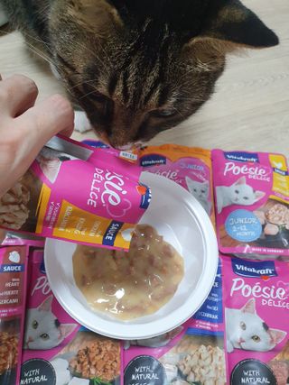 비타크래프트 포에시 델리스 고양이 파우치 85g 9가지맛 1팩씩 — 5점을 준 리뷰어가 2021년 8월 올린 사용 사진