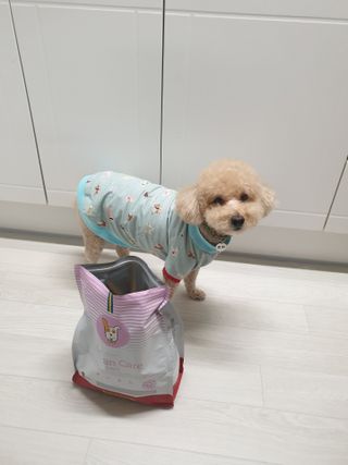 차세라님이 올린 리뷰 사진 2