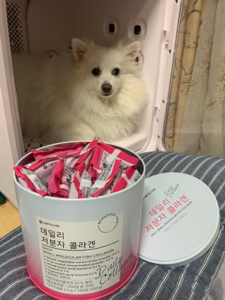 구름님이 올린 리뷰 사진 2