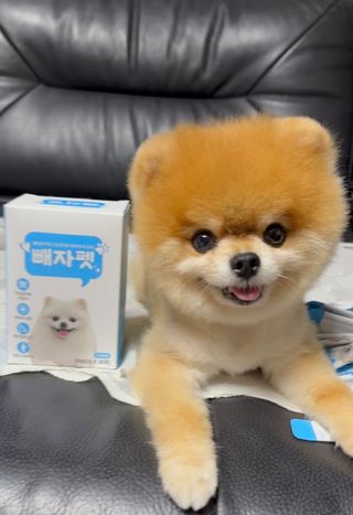 뽀야니님이 올린 리뷰 사진 2