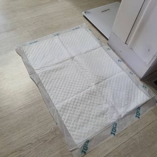 아베크 펫 와이드 프리미엄 중형 애견 강아지 배변 패드 54매 1팩 45g — 5점을 준 리뷰어가 2021년 7월 올린 사용 사진