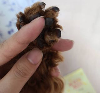 연이님이 올린 리뷰 사진 2
