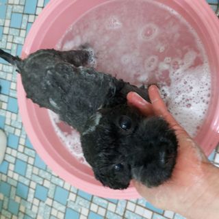 쓔리님이 올린 리뷰 사진 2