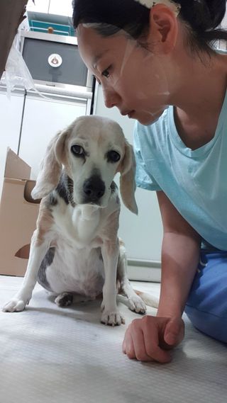 아미퓨어 촉촉하고 밝은 피부를 만들어주는 1일1팩, 아미노이펙트 마스크 10매 — 5점을 준 리뷰어가 2021년 6월 올린 사용 사진