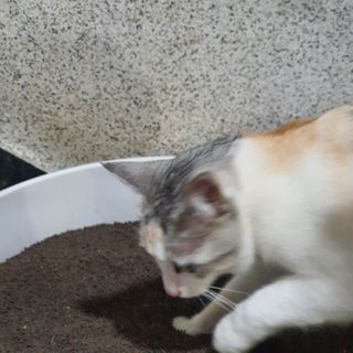 스더링님이 올린 리뷰 사진 3