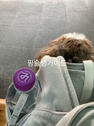 몽베스트 [MONTBEST]위드어스 500mL 20병 — 5점을 준 리뷰어가 2022년 8월 올린 사용 사진