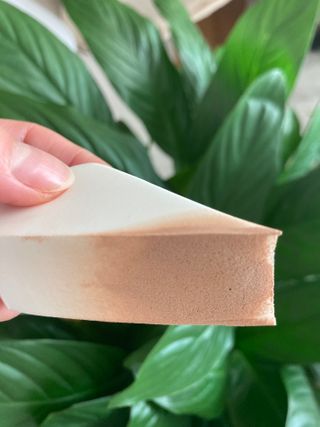 experiencer님이 올린 리뷰 사진 3