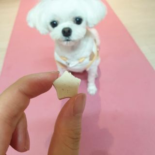 페페로니 자기전에 먹는 저알러지 껌 세트 치킨+오리 — 5점을 준 리뷰어가 2021년 7월 올린 사용 사진