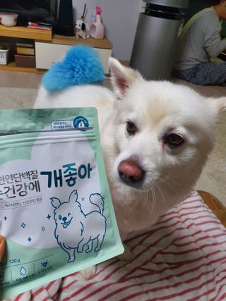 My Pet Care 천연단백질 눈건강에 개좋아 — 5점을 준 리뷰어가 2021년 2월 올린 사용 사진