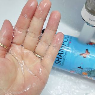 푸들ol님이 올린 리뷰 사진 3