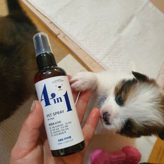 taehyun0114님이 올린 리뷰 사진 3