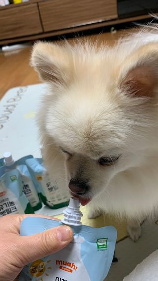 별이빛나길님이 올린 리뷰 사진 3