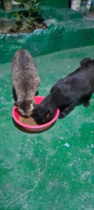 UJJIN님이 올린 리뷰 사진 3