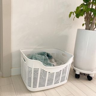 숑이님이 올린 리뷰 사진 3