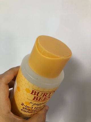 버츠비 퍼피투인원 티어리스 샴푸 앤 컨디셔너 — 5점을 준 리뷰어가 2021년 7월 올린 사용 사진