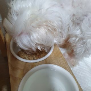 케키님이 올린 리뷰 사진 1