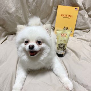 오랑이님이 올린 리뷰 사진 3