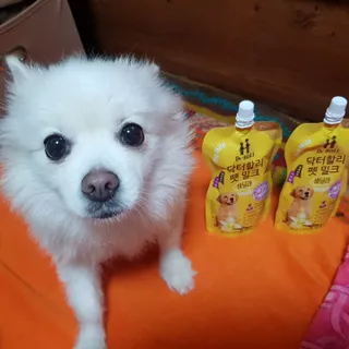 바나나님이 올린 리뷰 사진 1