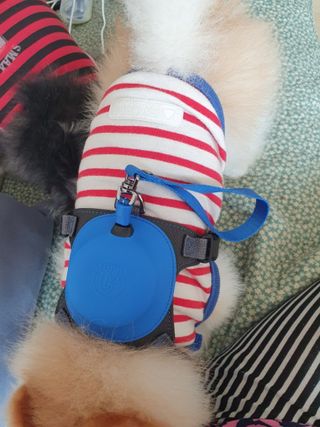 보미누나님이 올린 리뷰 사진 1