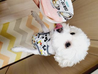 Limi님이 올린 리뷰 사진 3