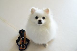 JAY님이 올린 리뷰 사진 1