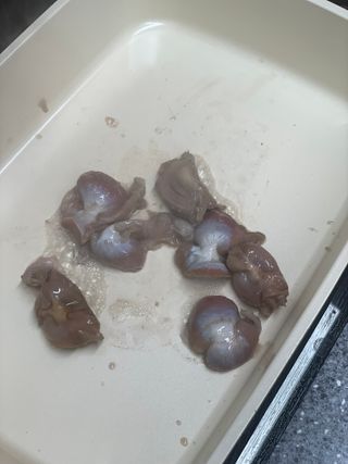 화끈한녀석들 새오똥400g 새우,오징어,똥집 볶음요리 소스,밀떡, 참기름 포함 — 5점을 준 리뷰어가 2022년 11월 올린 사용 사진