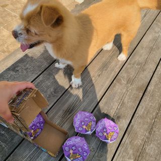 제이님이 올린 리뷰 사진 2