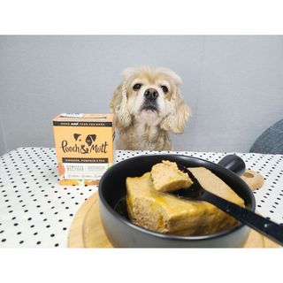 콩콩님이 올린 리뷰 사진 2