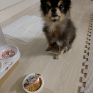 복도리님이 올린 리뷰 사진 4