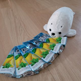 물끼님이 올린 리뷰 사진 1