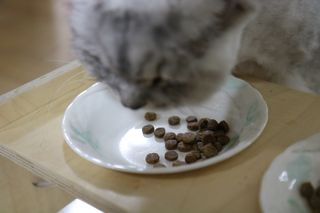 필쏘굿님이 올린 리뷰 사진 3
