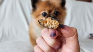 꿀냥이님이 올린 리뷰 사진 2