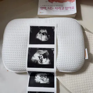 사랑해안시영님이 올린 리뷰 사진 1
