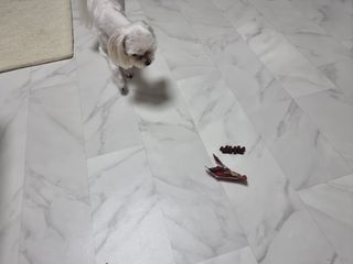 돌삐님이 올린 리뷰 사진 4