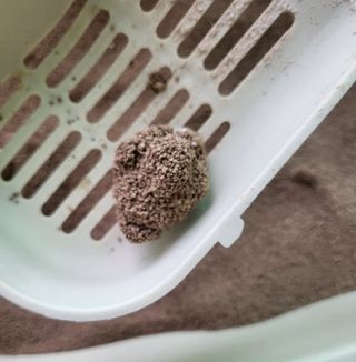 케키님이 올린 리뷰 사진 4