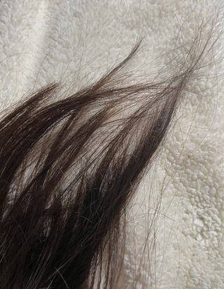 (주)닥터오레고닌 닥터오레고닌 탁시폴린 에디션 샴푸 — 5점을 준 리뷰어가 2023년 7월 올린 사용 사진