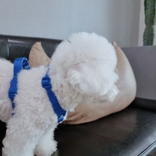 우주님이 올린 리뷰 사진 3