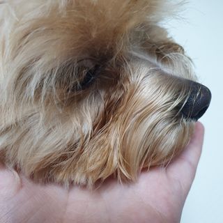아코맘님이 올린 리뷰 사진 4