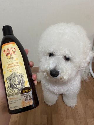 예봉봉봉님이 올린 리뷰 사진 3