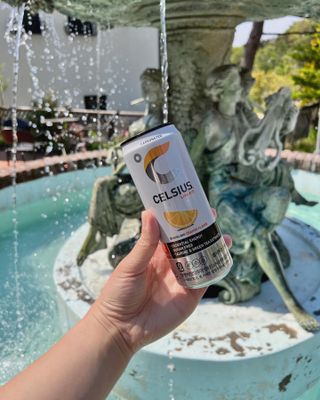 셀시어스 오리지널 325ml 에너지 비타민 피트니스 드링크(24can) 다이어트 음료 — 4.5점을 준 리뷰어가 2022년 5월 올린 사용 사진
