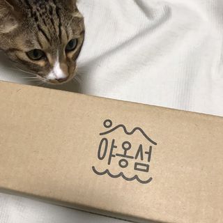 브리이에님이 올린 리뷰 사진 1