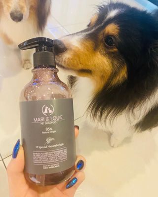 마리앤루이펫샴푸 [mari and louie pet shampoo] — 5점을 준 리뷰어가 2021년 5월 올린 사용 사진