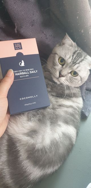 코코몰리 고양이 구강• 헤어볼 데일리 /신장• 요로 데일리 — 5점을 준 리뷰어가 2021년 1월 올린 사용 사진