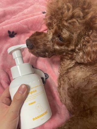 [댕모어 샴푸 2종] 댕샴푸 / 퍼피샴푸  2종 세트 (300ml) — 5점을 준 리뷰어가 2023년 10월 올린 사용 사진