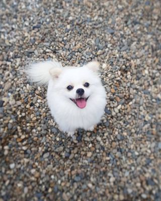 SooYeon님이 올린 리뷰 사진 3
